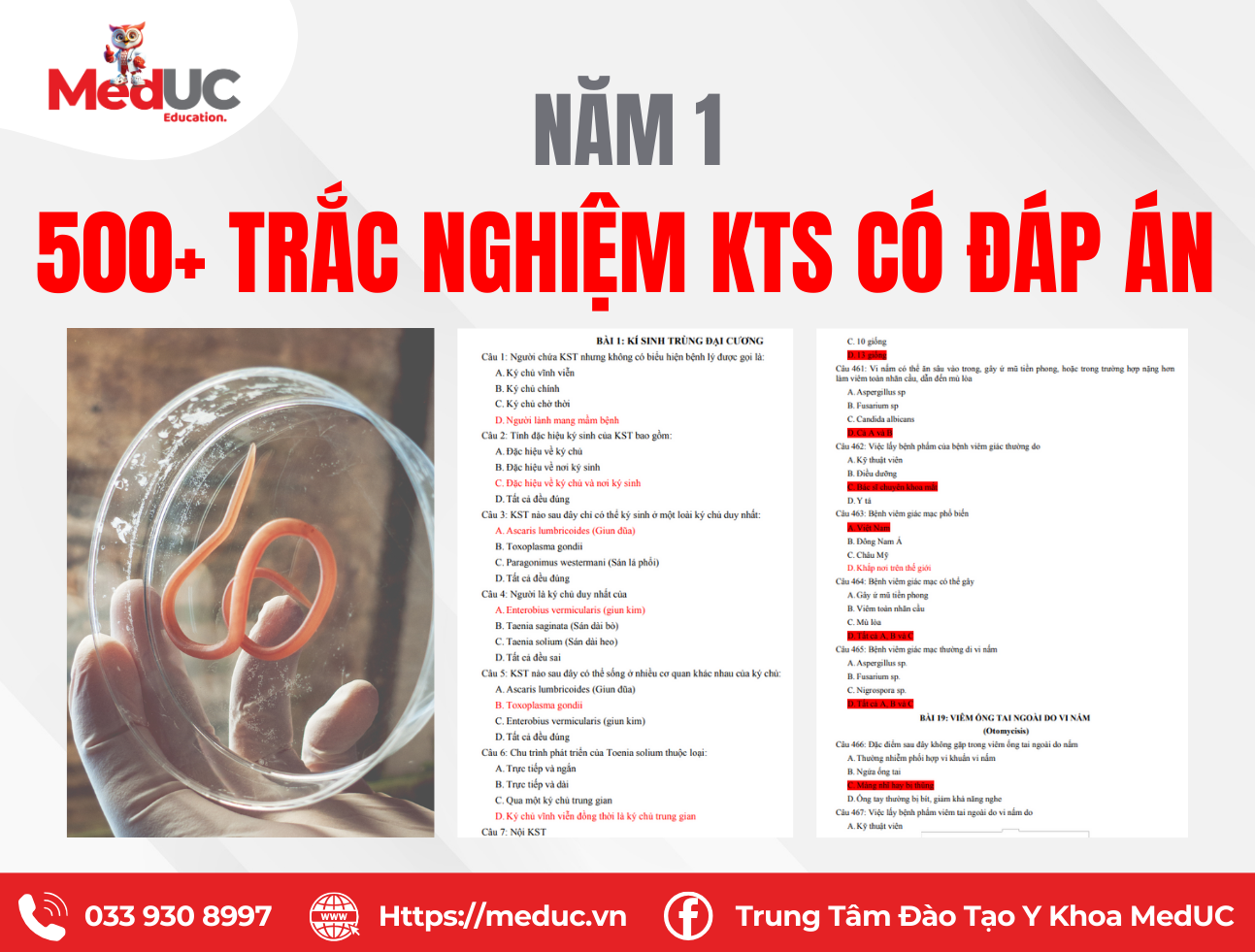 500 C&acirc;u Trắc Nghiệm K&yacute; Sinh Tr&ugrave;ng C&oacute; Đ&aacute;p &Aacute;n