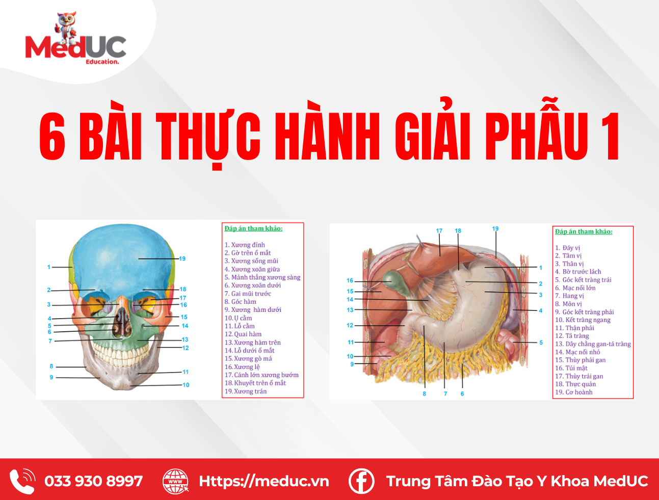 Thực h&agrave;nh Giải phẫu 1