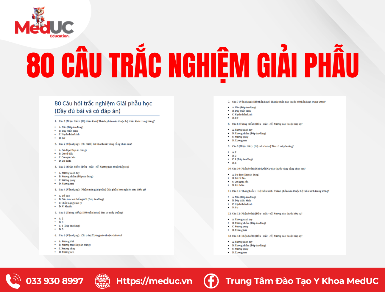 80 c&acirc;u trắc nghiệm Giải Phẫu