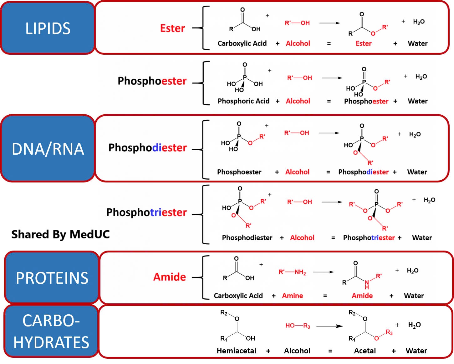 nam-ngay-cac-tips-nay-neu-muon-diem-cao-mon-hoa-sinh