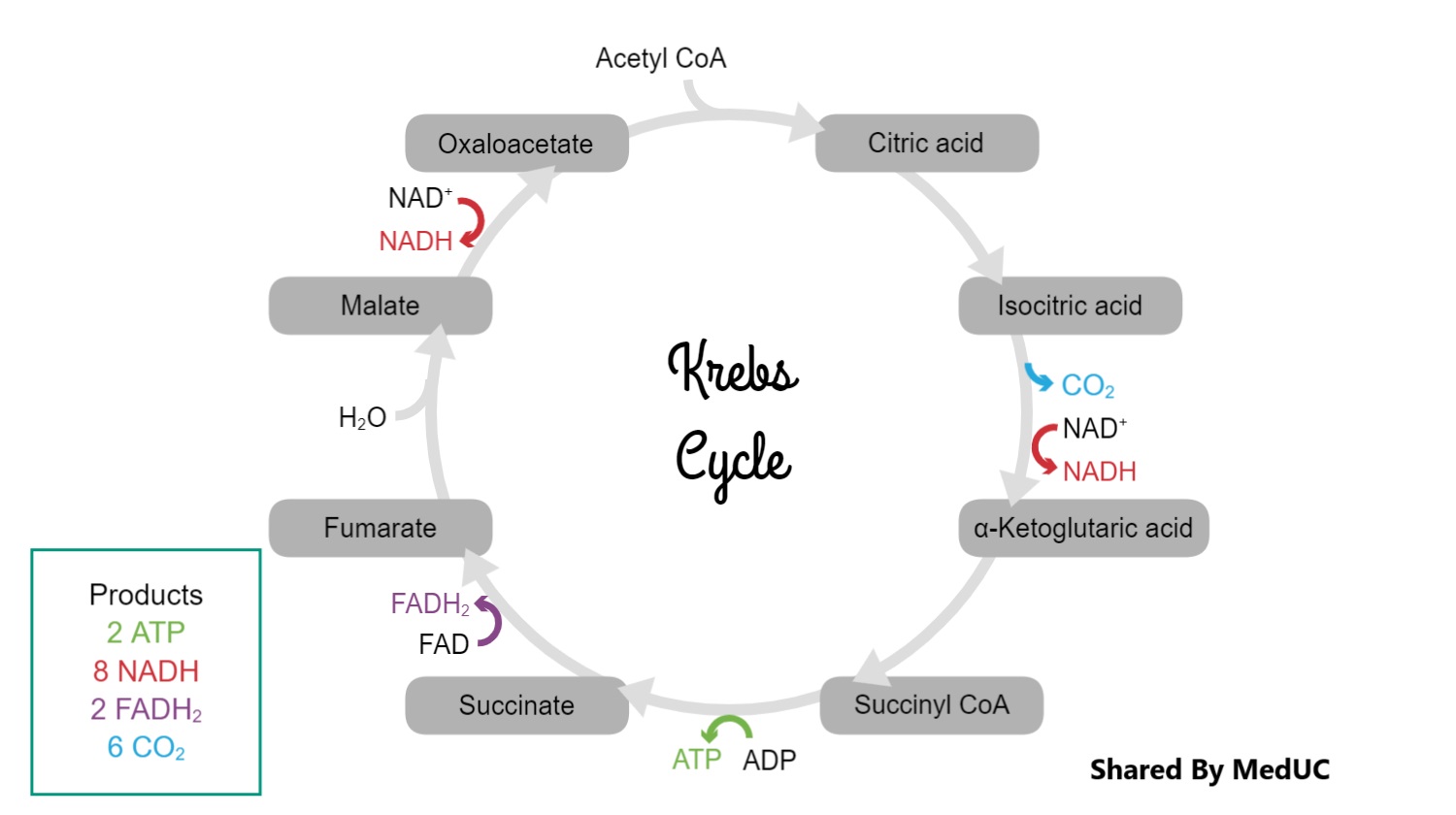 nam-ngay-cac-tips-nay-neu-muon-diem-cao-mon-hoa-sinh