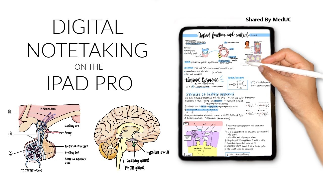 05-bi-kip-take-note-dep-tren-ipad-de-dang-va-hieu-qua