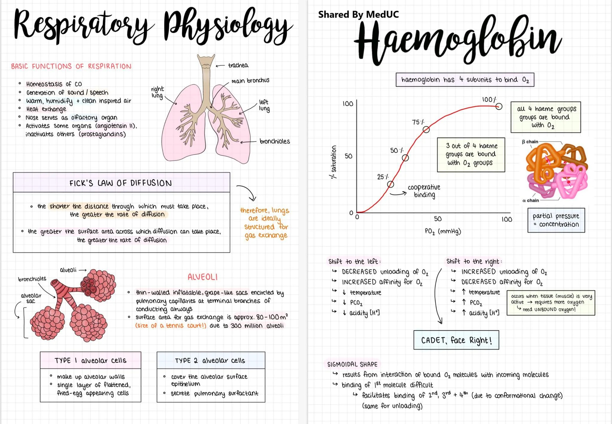 05-bi-kip-take-note-dep-tren-ipad-de-dang-va-hieu-qua