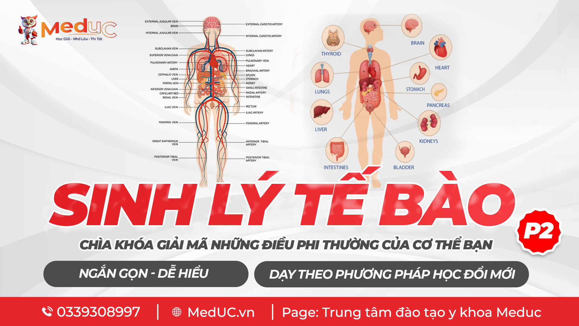 5-kenh-youtube-sinh-vien-y-hoc-tap-hieu-qua