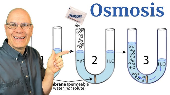 5-kenh-youtube-sinh-vien-y-hoc-tap-hieu-qua