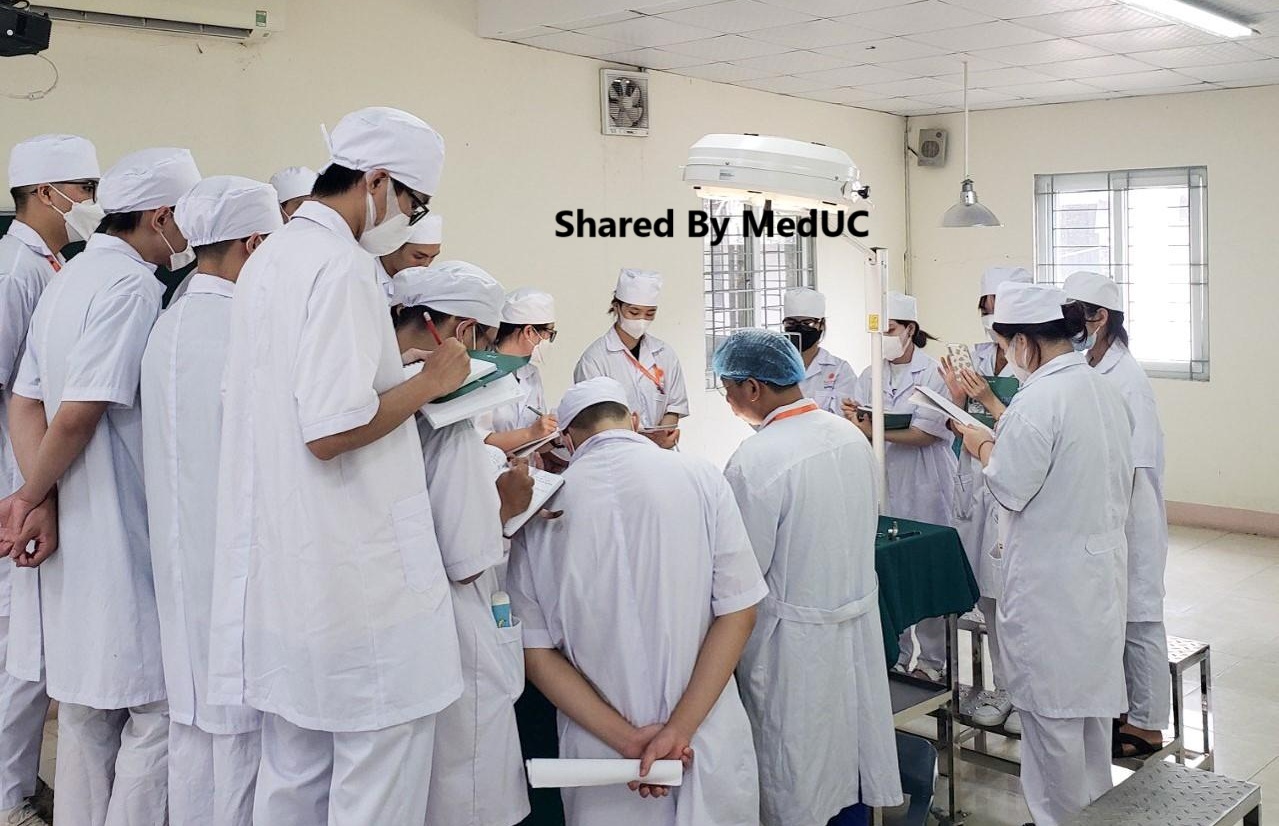 mach-ban-meo-nho-de-dang-cac-nhanh-cua-than-kinh-mat-vii