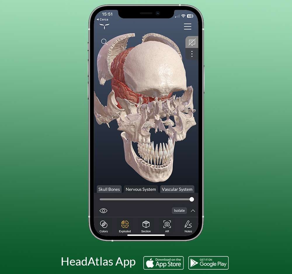 bi-kip-hoc-tot-voi-5-apps-huu-ich-cho-sinh-vien-rang-ham-mat