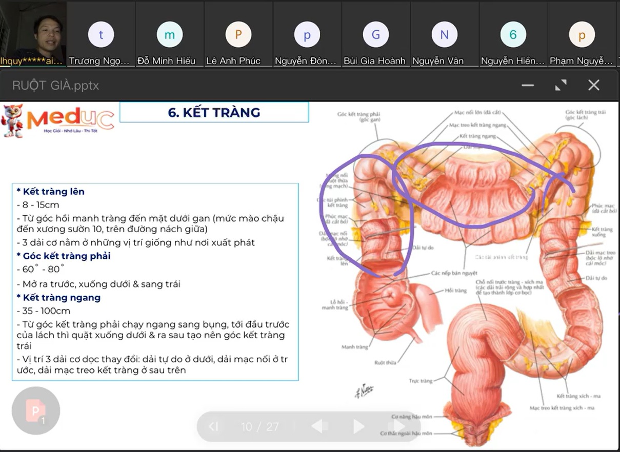 bi-quyet-3-cach-hoc-tot-mon-giai-phau-danh-cho-sinh-vien-y