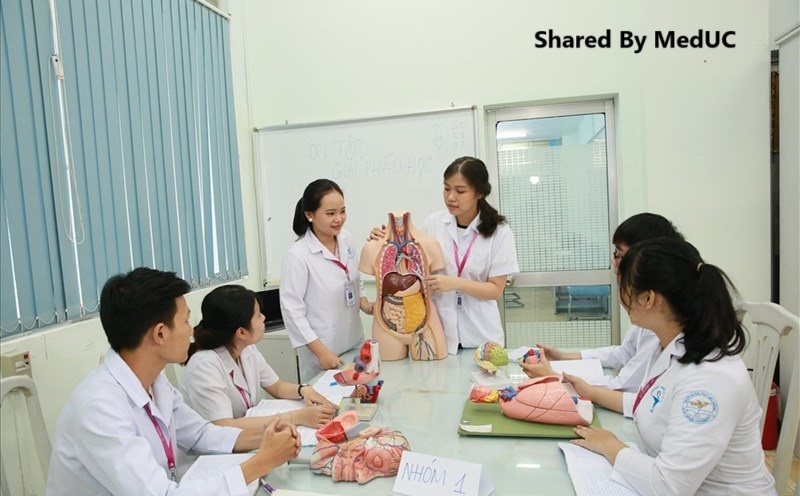 review-sach-cau-hoi-trac-nghiem-giai-phau-hoc-chia-khoa-vang-de-vuot-qua-ky-thi