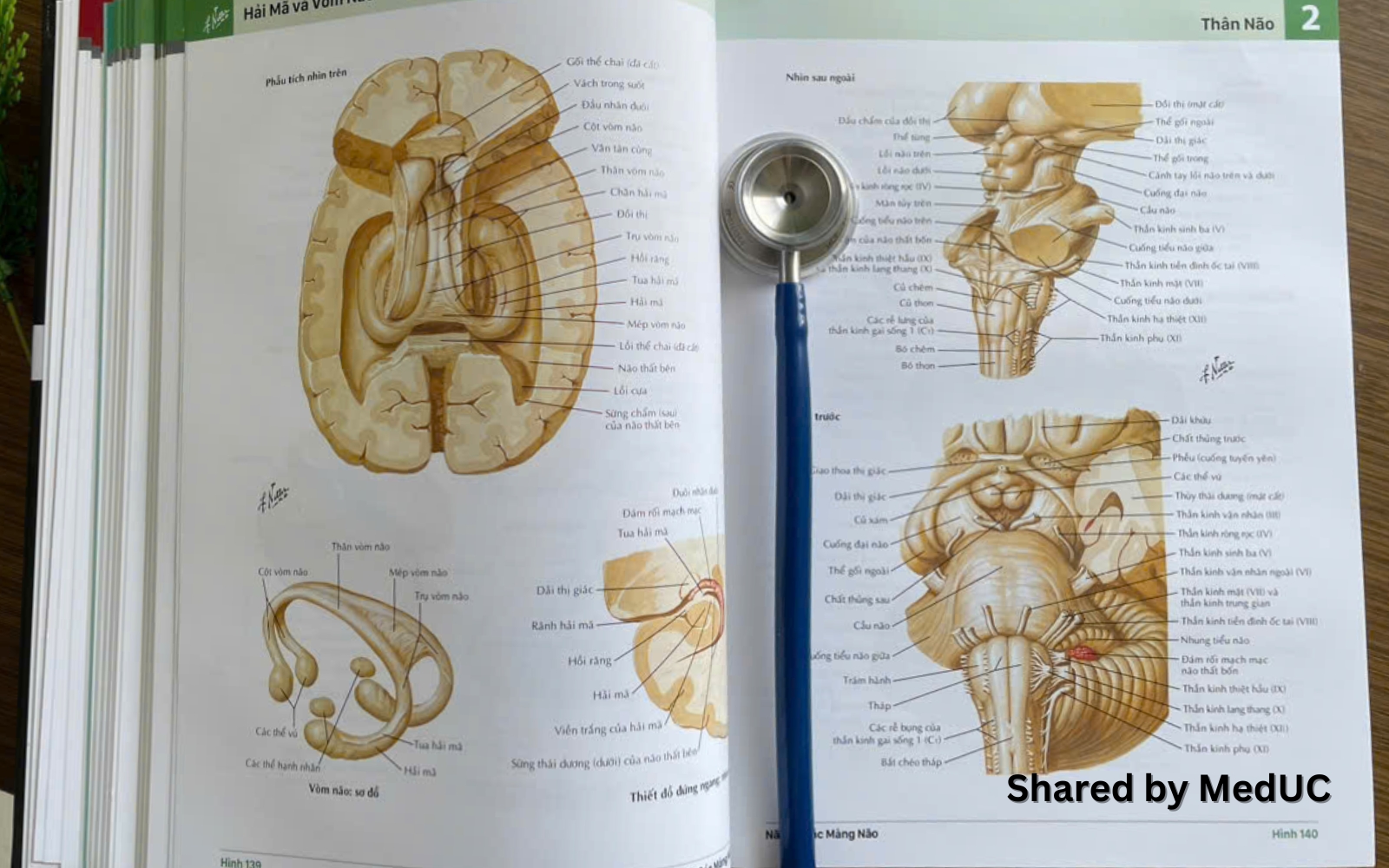 cach-hoc-tot-mon-giai-phau-2