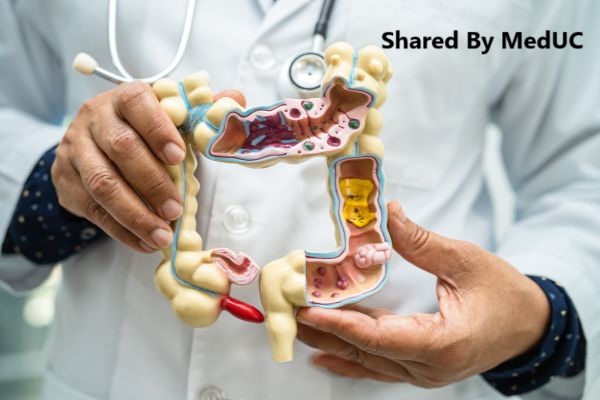 kien-thuc-sinh-vien-y-can-phai-nam-o-tung-khoa-truoc-khi-di-lam-sang-phan-1