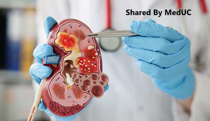 kien-thuc-sinh-vien-y-can-phai-nam-o-tung-khoa-truoc-khi-di-lam-sang-phan-1