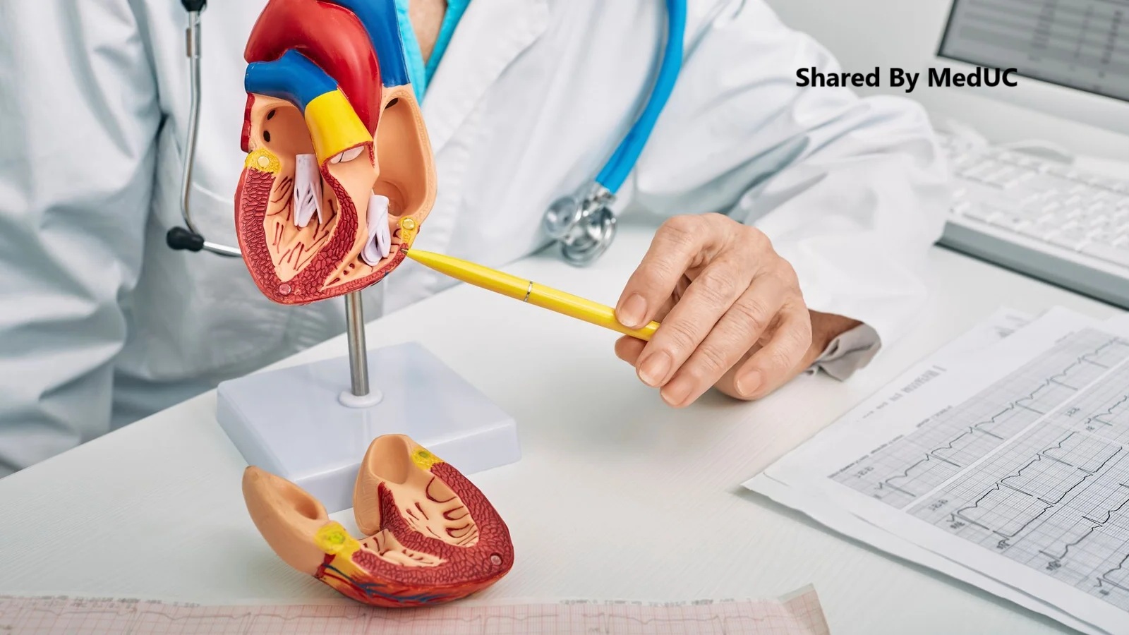 6-nam-hoc-y-hanh-trinh-chua-bao-gio-de-dang