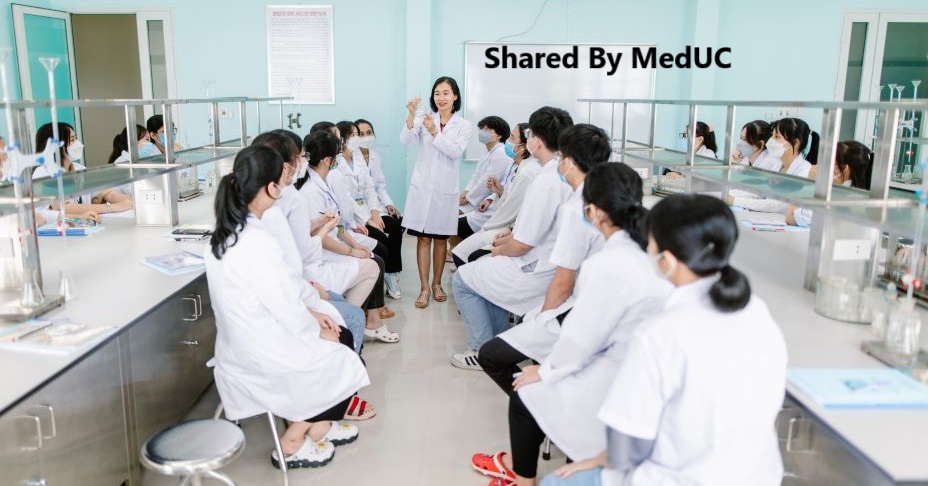 ap-dung-quy-tac-80-20-vao-viec-doc-sach-danh-cho-sinh-vien-y