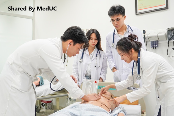 vi-sao-sinh-vien-y-cang-hoc-cang-thay-minh-ngu