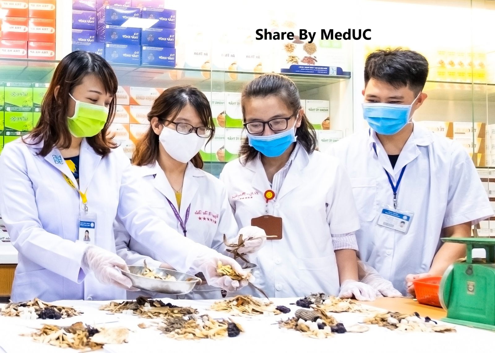 nganh-y-hoc-co-truyen-review-toan-dien-va-cam-nhan-chan-thuc-tu-sinh-vien-da-tot-nghiep