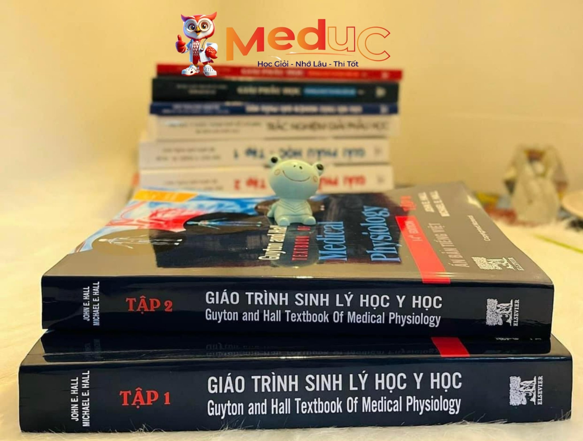 sinh-ly-guyton-and-hall-bi-kip-vang-cho-y1-chinh-phuc-mon-sinh-ly