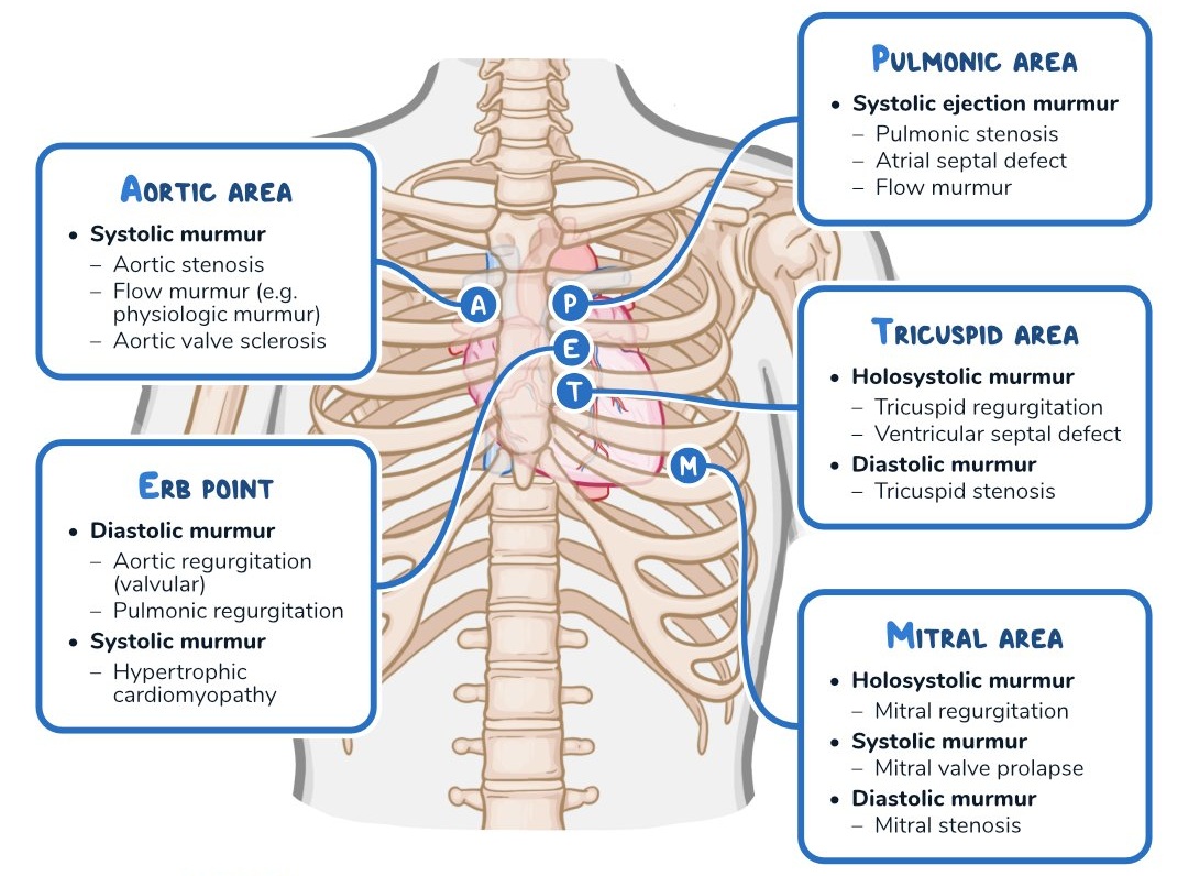 tieng-thoi-tim-va-nhung-kien-thuc-can-phai-ghi-nho