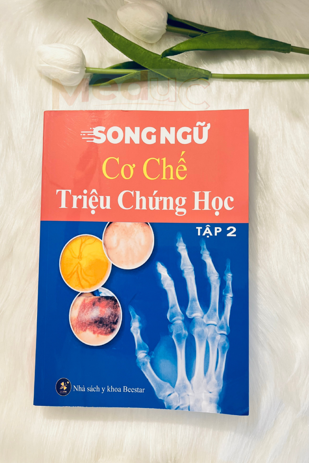 Ảnh sách