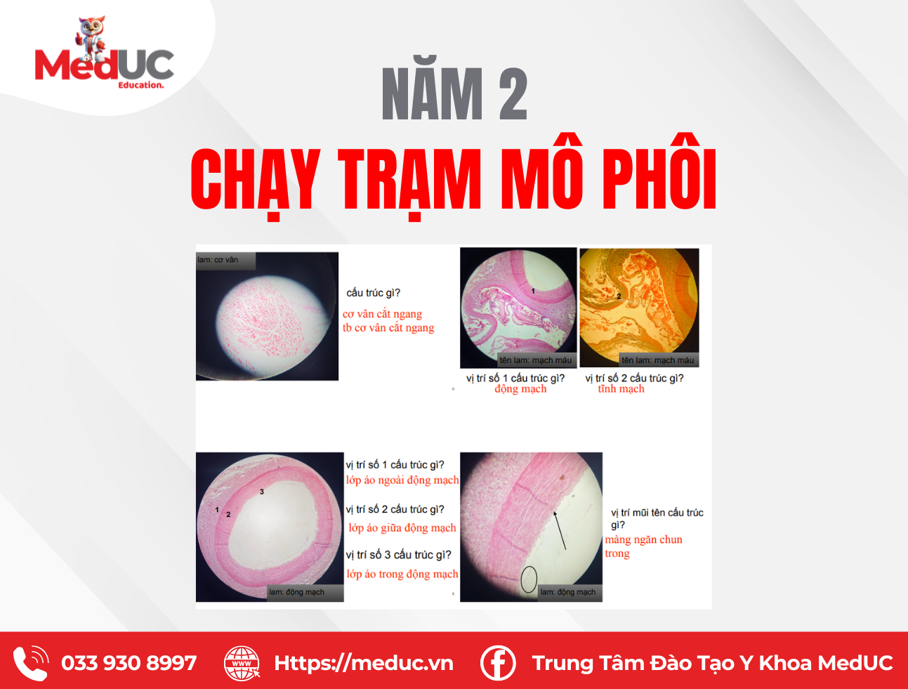 Thực hành Mô Phôi” – Bộ môn Mô – Phôi học