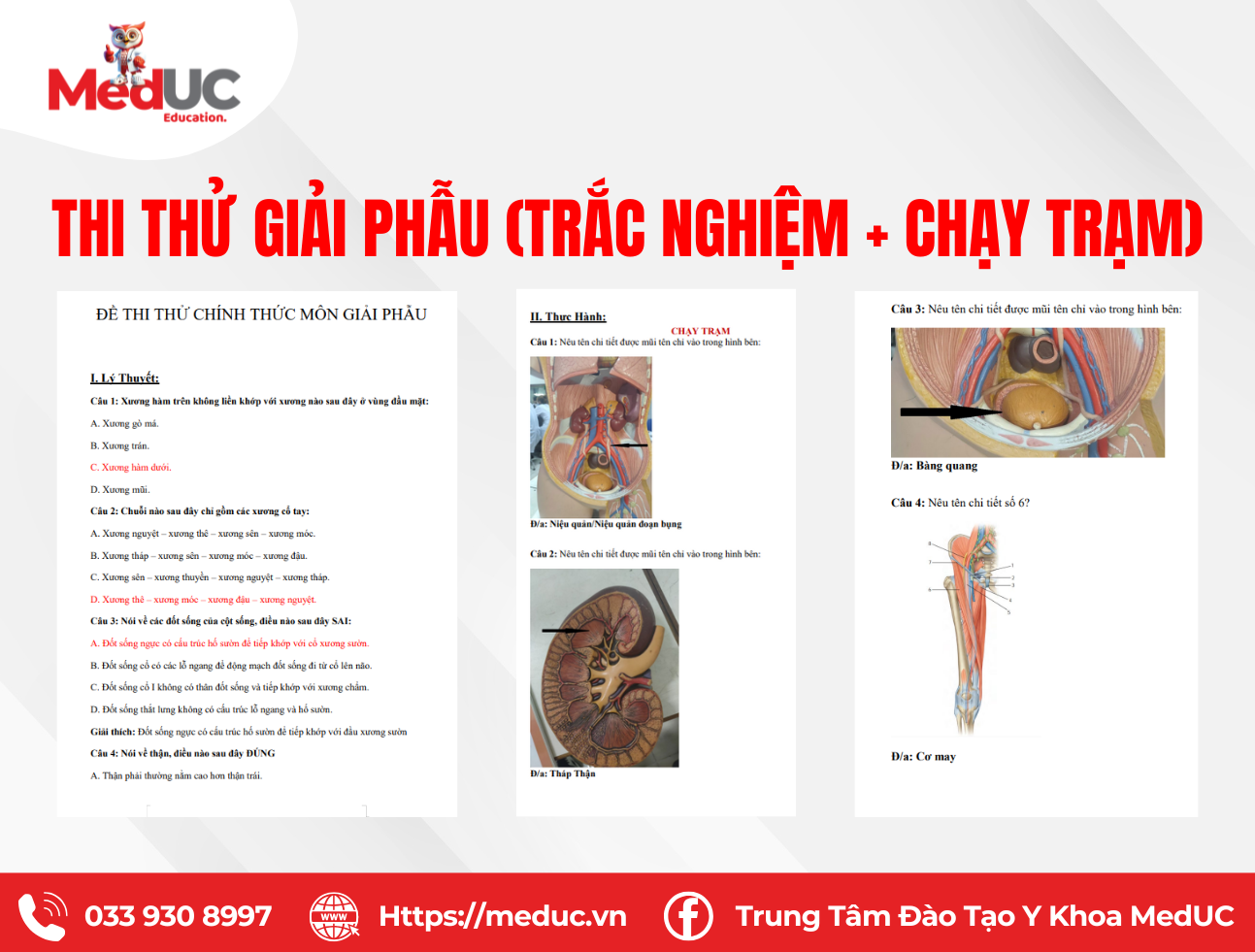 Đề thi Giải phẫu đại cương