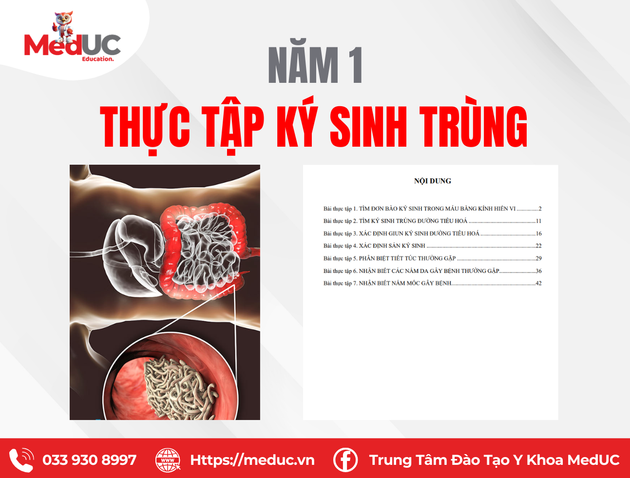 Gi&aacute;o tr&igrave;nh thực h&agrave;nh K&yacute; sinh tr&ugrave;ng