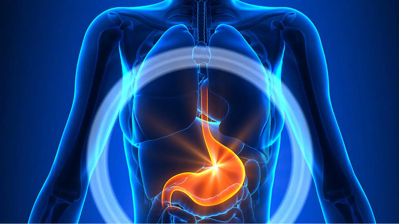 chức năng dạ dày