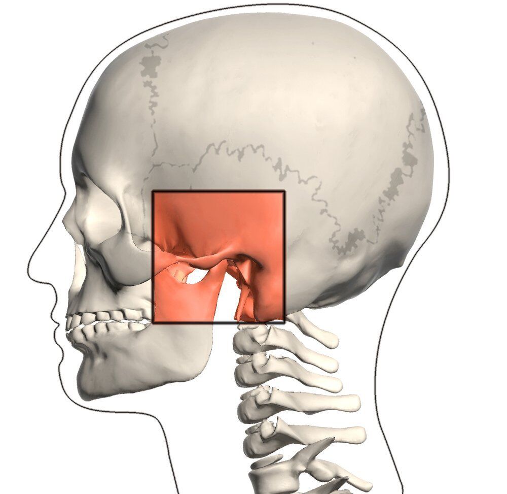 dây chằng khớp thái dương hàm