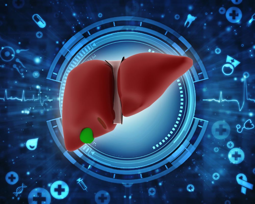 chức năng của gan