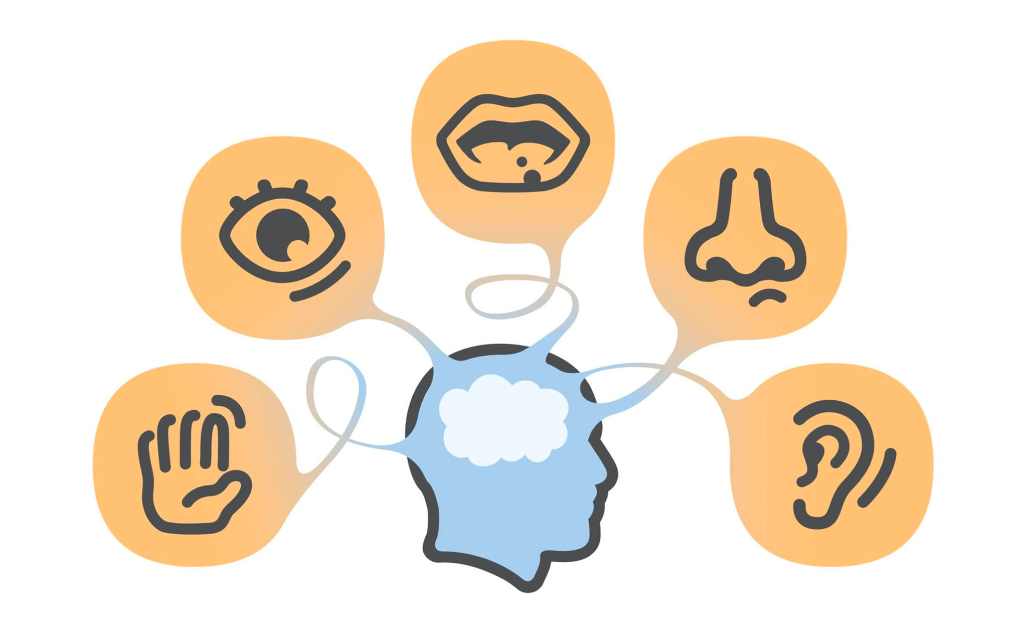 hệ gi&aacute;c quan