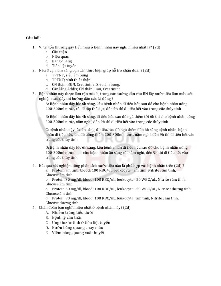 đề thi tham khảo 2