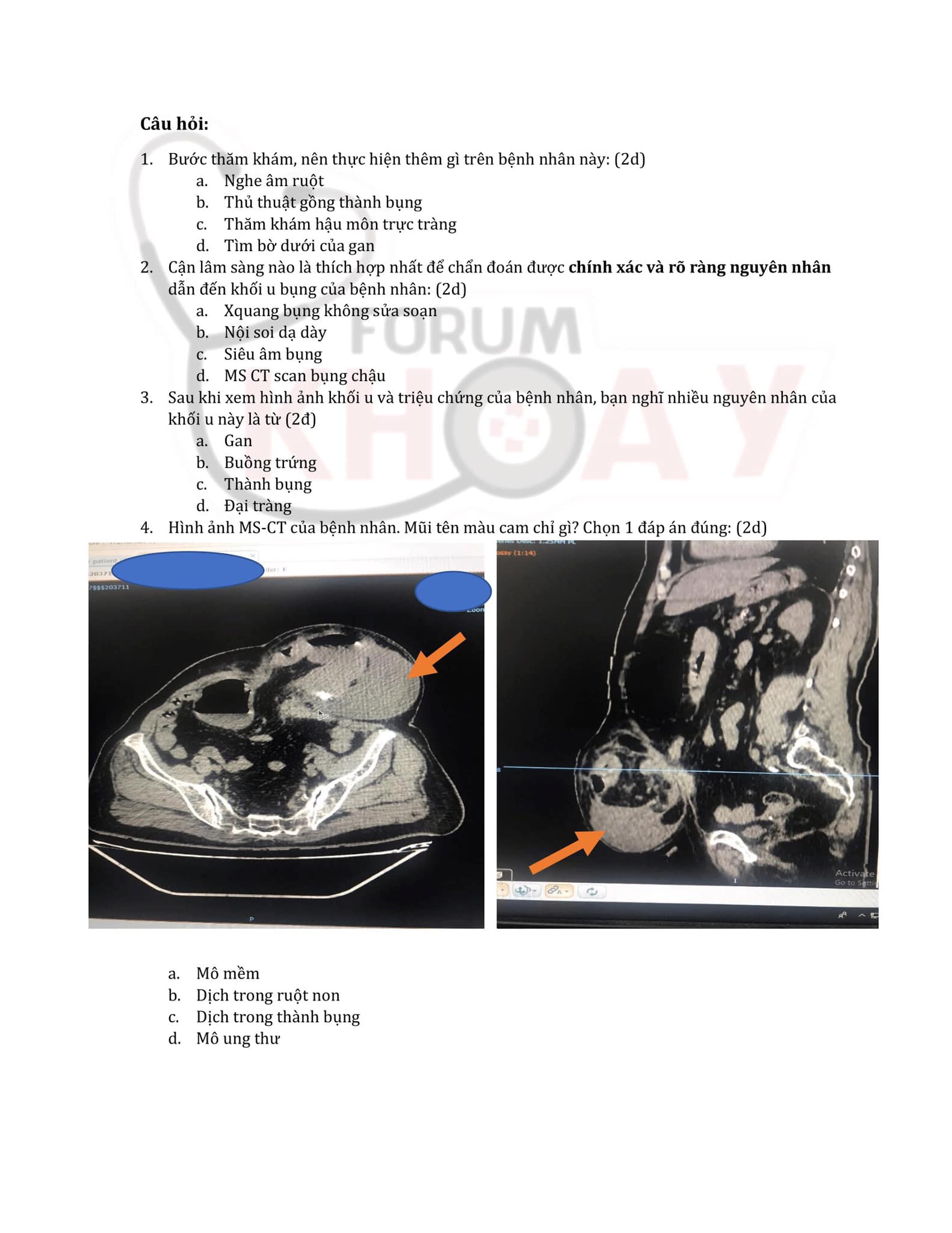 đề thi tham khảo 4