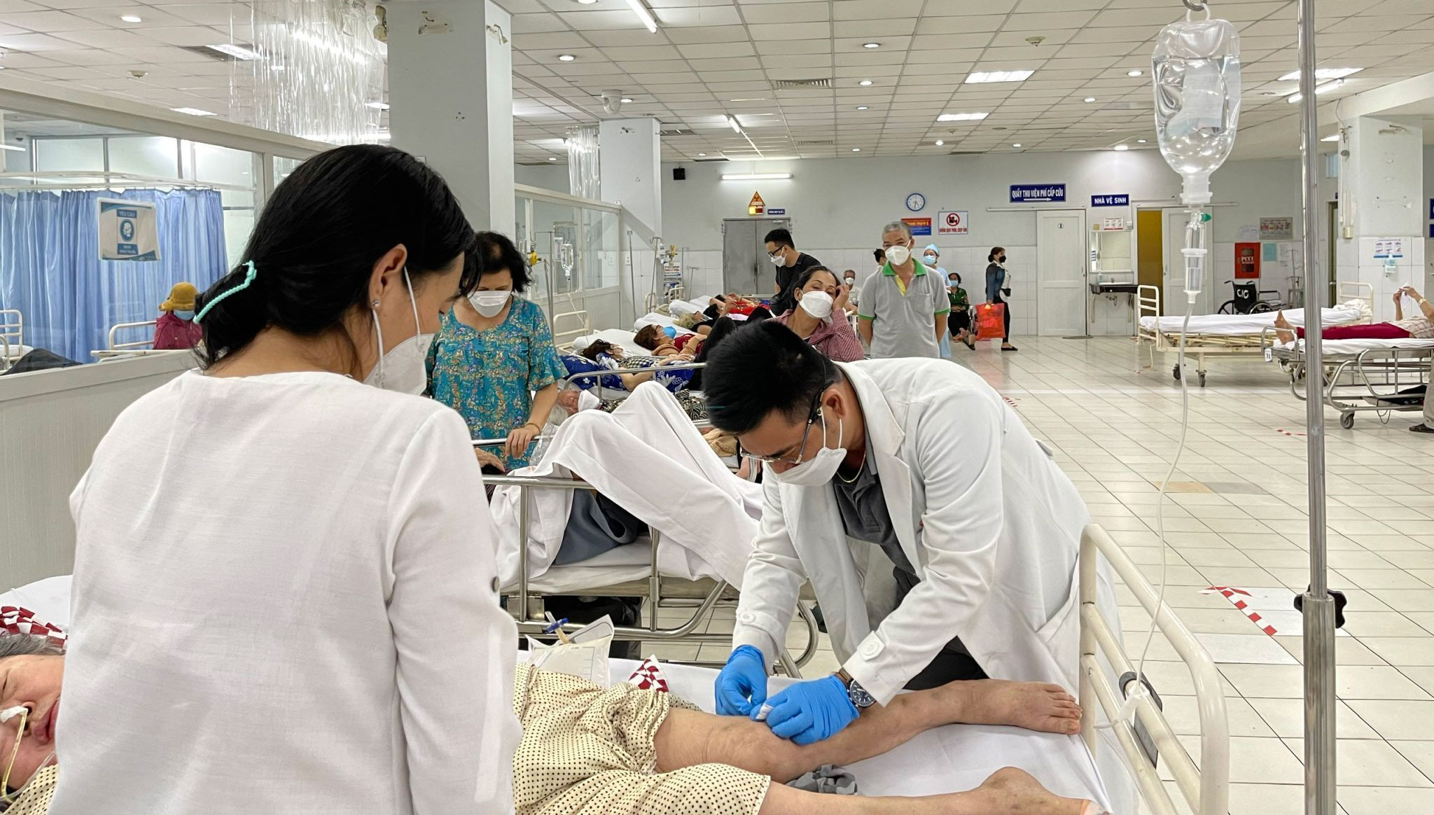 giải phẫu trong y khoa