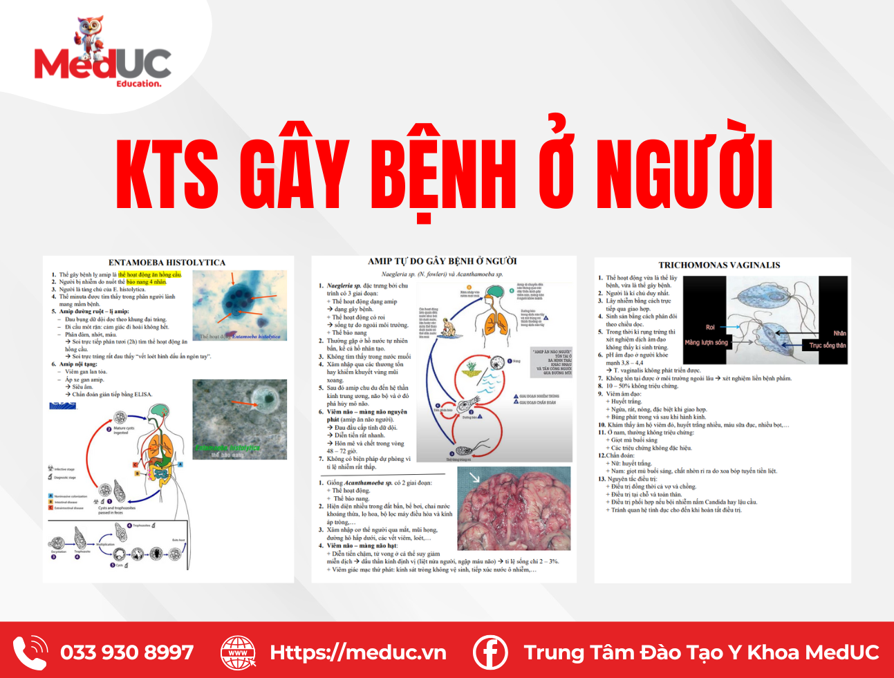 K&yacute; sinh tr&ugrave;ng g&acirc;y bệnh ở người