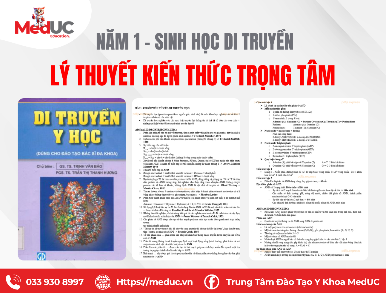 L&yacute; Thuyết Sinh Học V&agrave; Di Truyền Tổng Hợp Kiến Thức Trọng T&acirc;m