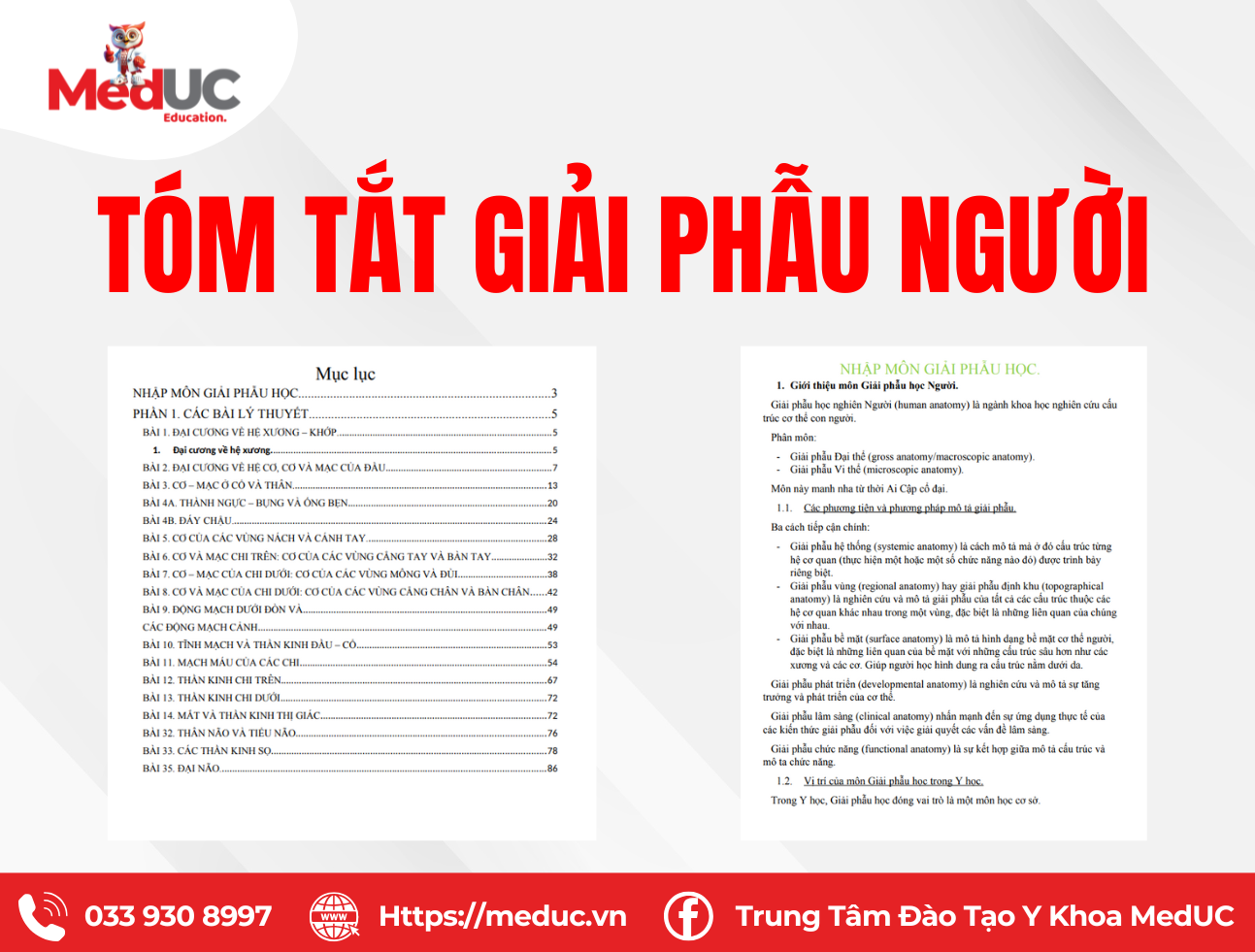 T&oacute;m tắt giải phẫu người chi tiết