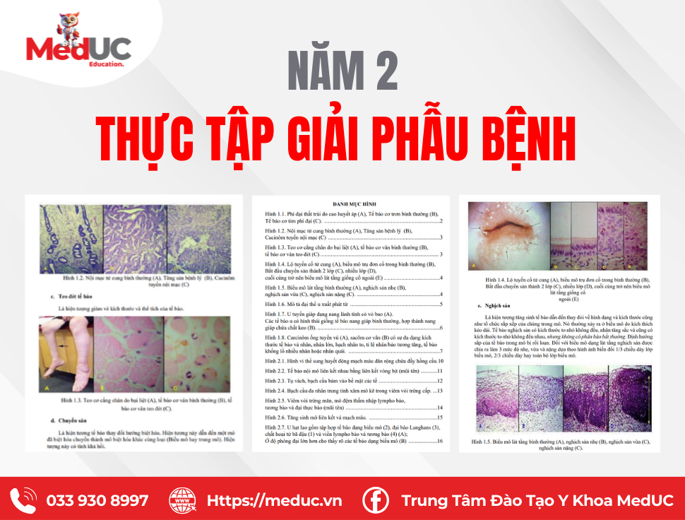 T&agrave;i liệu Thực tập Giải phẫu bệnh