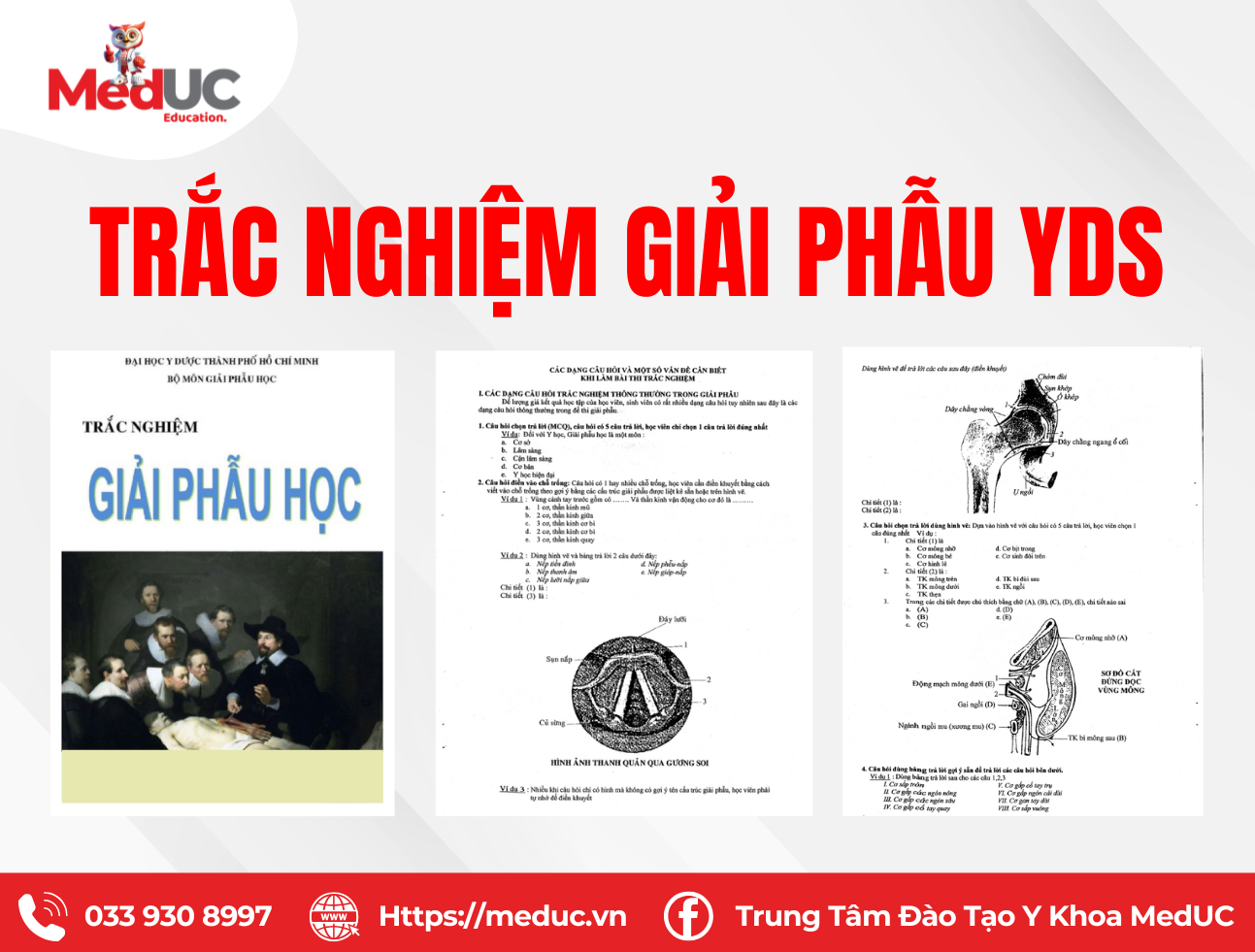 Trắc Nghiệm Giải Phẫu YDS