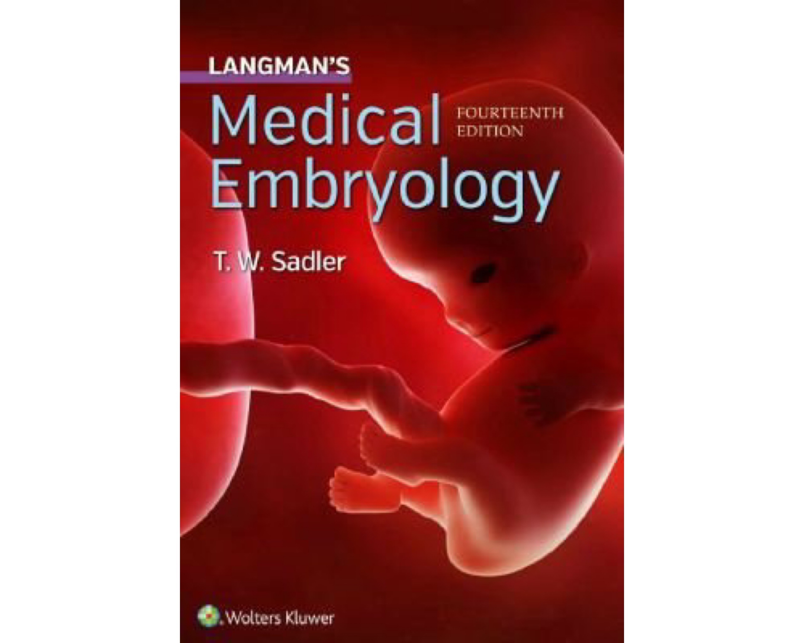 Embriologia Langman 14 Edicion Pdf Descargar meduc.vn