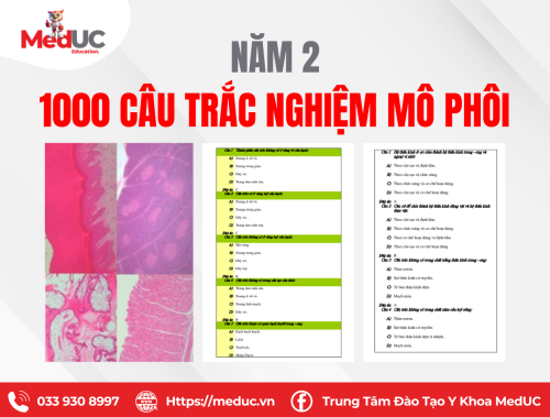 [Năm 2 Mô Phôi] 1000 Câu Trắc Nghiệm Có Đáp Án