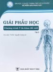 Bài Giảng Giải Phẫu Nguyễn Hoàng Vũ (2 tập, In Màu) + tặng khóa học xây dựng nền tảng