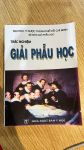 Sách Trắc Nghiệm Giải Phẫu Nguyễn Quang Quyền