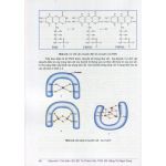 Hoá sinh (Sách đào tạo bác sĩ Y khoa, in Full màu) + khóa học theo sách
