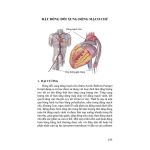 Thực hành cấp cứu tim mạch (in Full màu) + khóa học theo sách