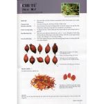 Nhận diện dược liệu (in Full màu) + khóa học theo sách