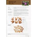 Nhận diện dược liệu (in Full màu) + khóa học theo sách