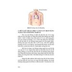 Thực hành cấp cứu tim mạch (in Full màu) + khóa học theo sách