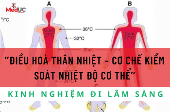 ĐIỀU HOÀ THÂN NHIỆT – CƠ CHẾ KIỂM SOÁT NHIỆT ĐỘ CƠ THỂ