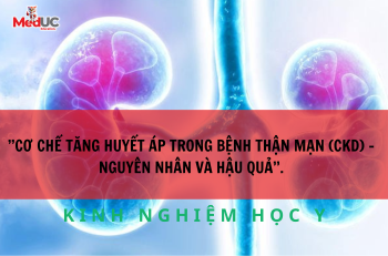 CƠ CHẾ TĂNG HUYẾT ÁP TRONG BỆNH THẬN MẠN (CKD) – NGUYÊN NHÂN VÀ HẬU QUẢ