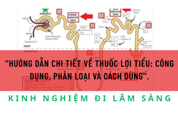HƯỚNG DẪN CHI TIẾT VỀ THUỐC LỢI TIỂU: CÔNG DỤNG, PHÂN LOẠI VÀ CÁCH DÙNG